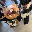 매시코리아 | 아기띠 첫 사용 후기! 동네 마실, 카페, 장모님댁 착용해 본 솔직한 느낌과 베이비뵨 하모니 정품등록방법