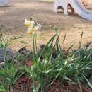 선마을어린이집 이미지