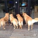 있어