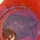 석동정수장 이미지