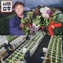 범석농장 네이버블로그