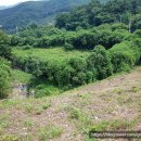 내서읍경로당 이미지