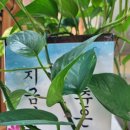 난타교실(초급) 이미지