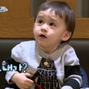 용인대 강동유도관 이미지