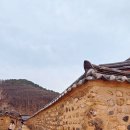 남평문씨본리세거지 주차장 | 대구 홍매화 명소 '남평문씨본리세거지' 실시간 방문 후기