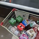 나룻터 | 행복했구례💓 (나룻터 카라반 후기)