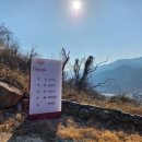 콜라니티다 이미지