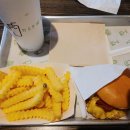 대동치과기공소 | 강남 레옹치과 김영삼 원장님 라이브서저리 세미나 4회차