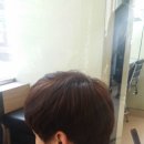 헤어포스 이미지