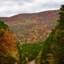 자연은 동물병원 이미지