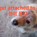 정들다 이미지