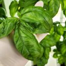 성곤농장 이미지