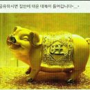 텃사모 1주년.축하..(축하화환) 이미지