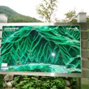 외룡카포스 이미지