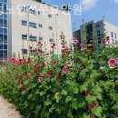 구성노인전문요양원 이미지