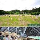 도움목장2 이미지