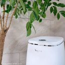 비프록 음식물처리기로 우리집 음식물 쓰레기 스트레스 끝내기