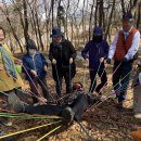 로컬 플러스 이미지