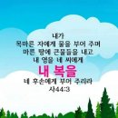 참손가 이미지