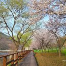 금강로하스 해피로드(2) 이미지