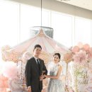 스테이그라피 이미지