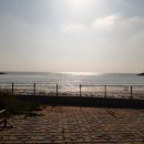 서산시청 이미지