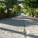 와동축구장(꽃빛공원) 이미지