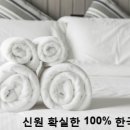 해바라기파출 이미지