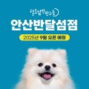 털로덮인 친구들 이미지