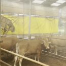 지성축산 이미지