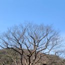서해랑길 42코스 이미지