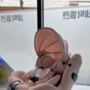 안성 세탁소 이미지