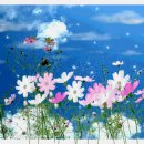 대양판지(주) 이미지