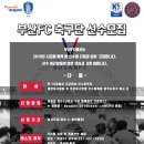 부산에프씨 Daum카페