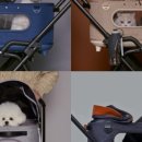 멍테일즈 이미지