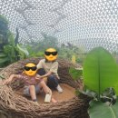 광기목장 이미지