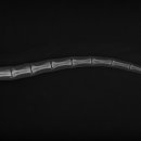 가능동물병원 이미지