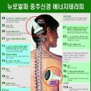 알파테라피 | 진주피부관리 뉴로알파생체에너지테라피 후기