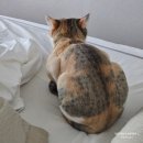 반찬STUDIO-반스카페 | 11월 일상 기록 대전댁 주간 일기 역시 먹는게 남는거