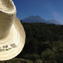 웅지농장 이미지