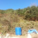 봉산면011 Daum카페