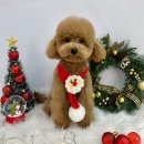 멍미살롱 이미지