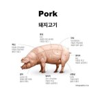 중국어 소고기/돼지고기 부위별 명칭 이미지