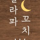 갈라파꼬치 이미지