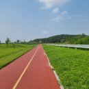 당산1리마을회관 | 여주시 당산1리 마을회관 근처풍경(여주보근처)