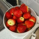 신흥파크빌라 입구 부근 | 2026년 1분기 기록