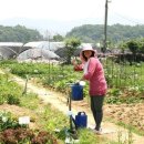 미현농장 이미지