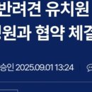 댕스테이 네이버블로그