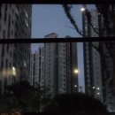 Feelings ..... 추억의 팝송(MMF) 이미지