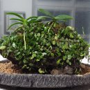 안덕중학교 이미지